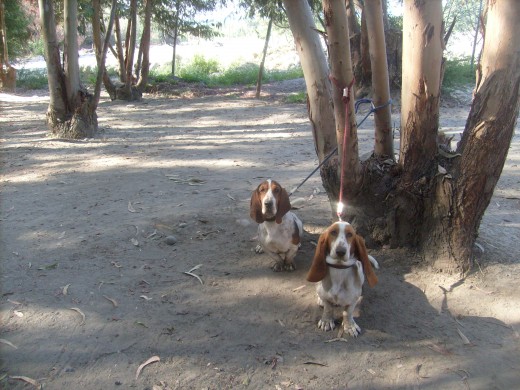 paseo al balneario